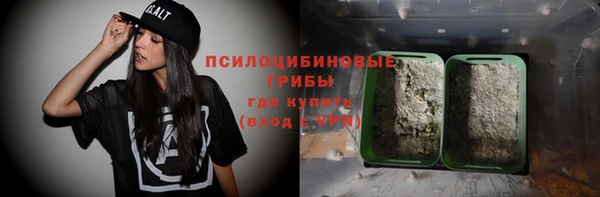 соль курить ск Горно-Алтайск