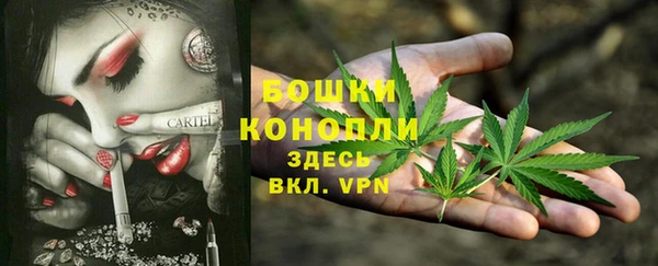 соль курить ск Горно-Алтайск